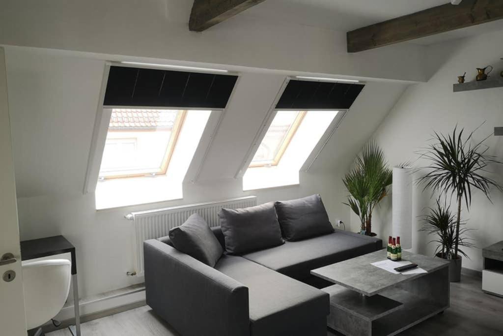 Haus 8 Apartment