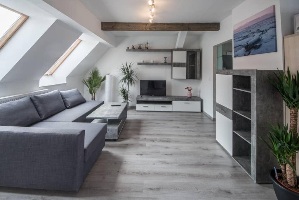 Haus 8 Apartment
