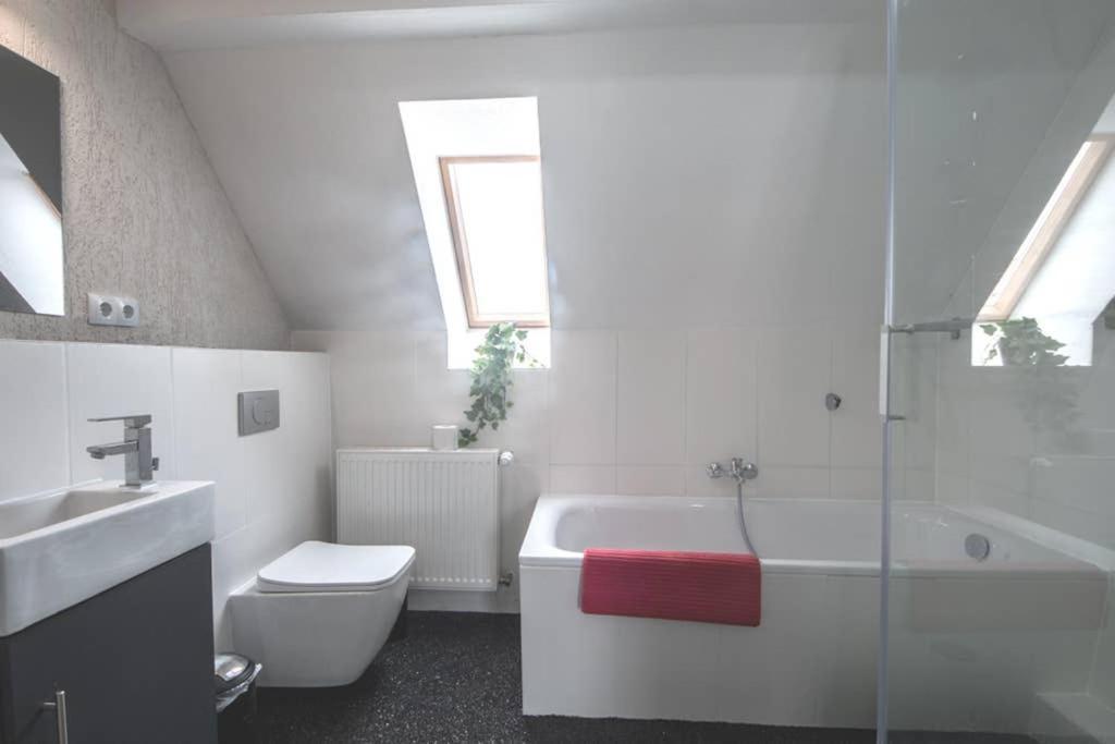 Apartment Haus 8