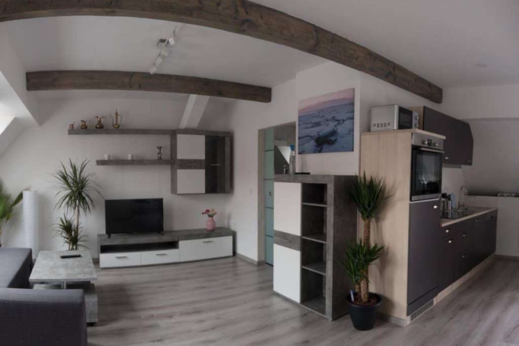Haus 8 Apartment